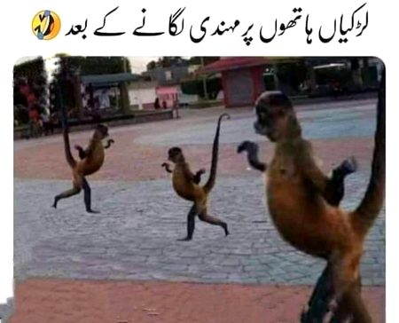 Funny joke