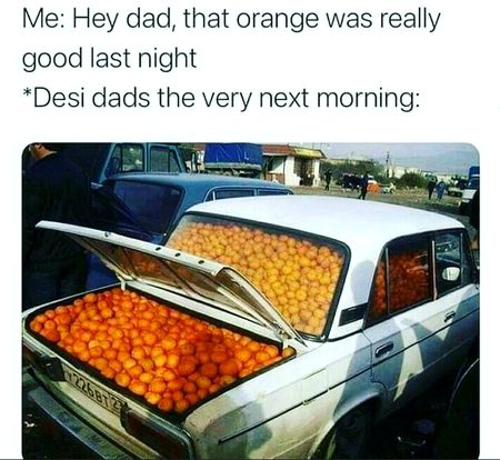 Memes & Satire image