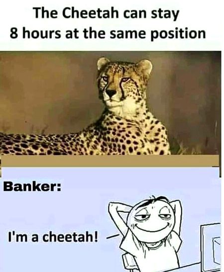 Memes & Satire image