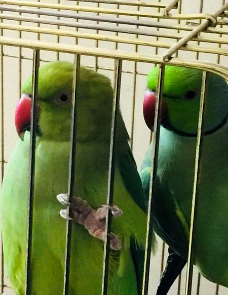 Beautiful Nature image