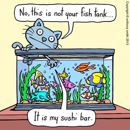 Funny joke