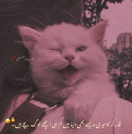 Jokes image