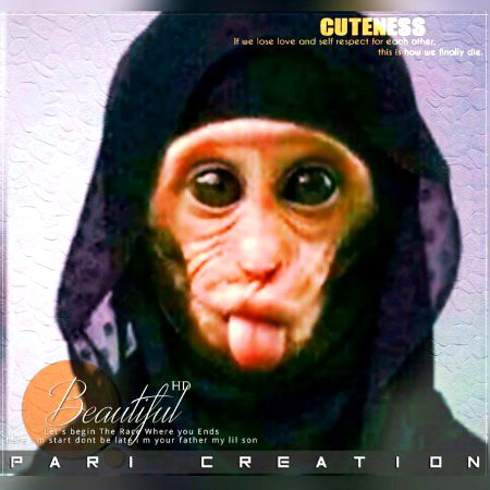 Memes & Satire image