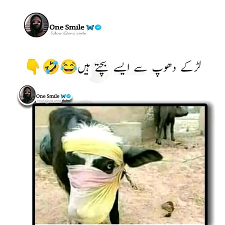Memes & Satire image