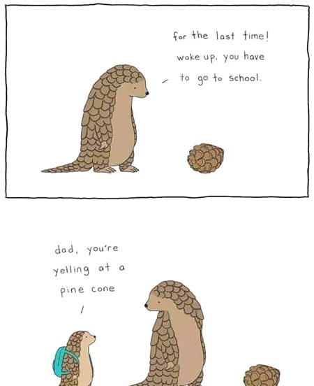 Funny joke