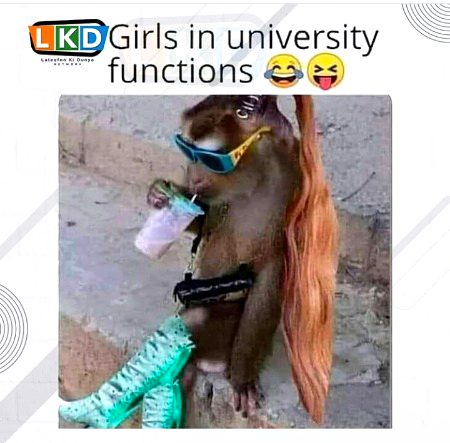 Memes & Satire image