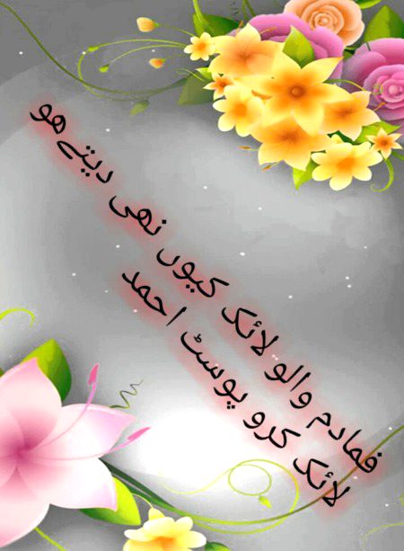 Damadam Roasting image