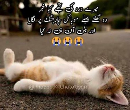 Funny joke