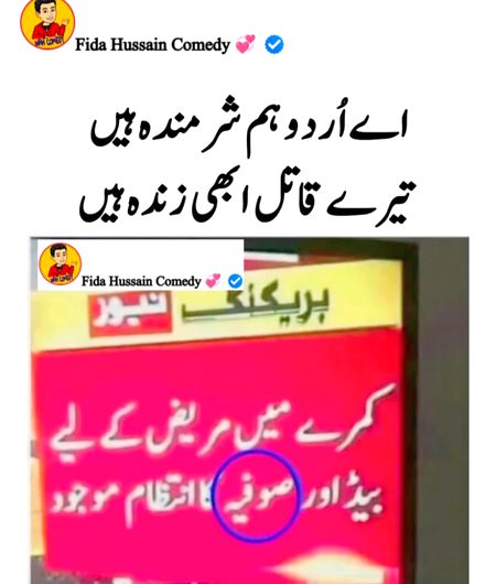 Memes & Satire image