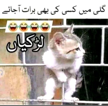 Memes & Satire image