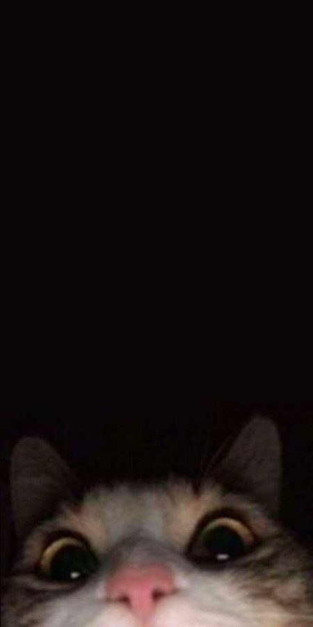 Beautiful Nature image