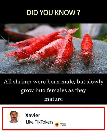 Memes & Satire image