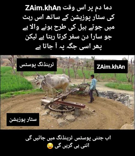 Damadam Roasting image