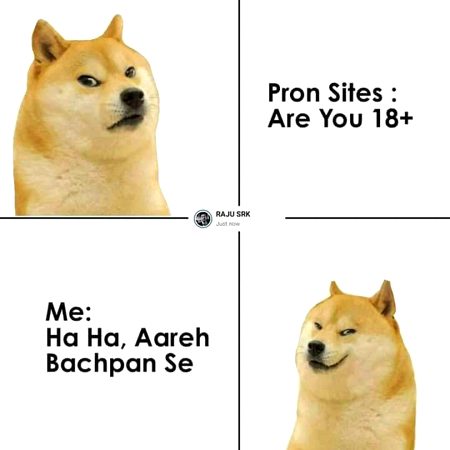 Memes & Satire image