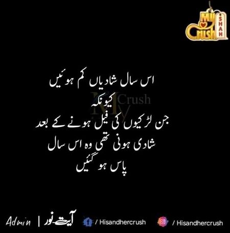 Memes & Satire image