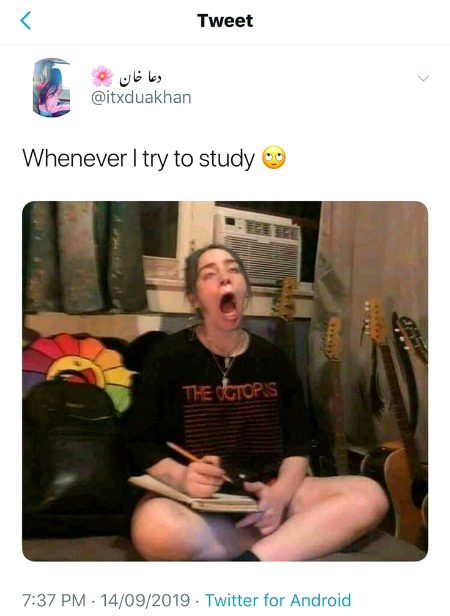 Memes & Satire image