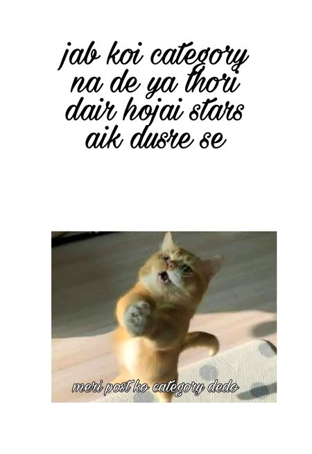 Damadam Roasting image