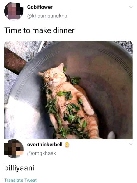 Memes & Satire image