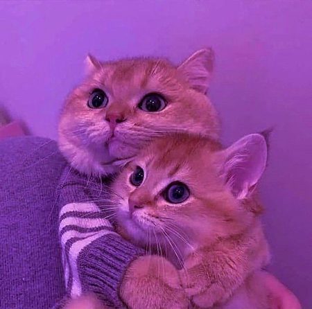 Beautiful Nature image