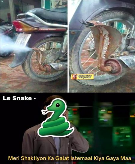 Memes & Satire image