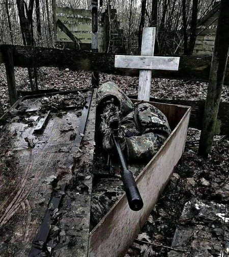 Beautiful Nature image