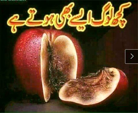 Memes & Satire image