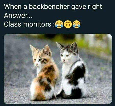 Memes & Satire image