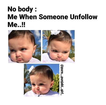 Memes & Satire image