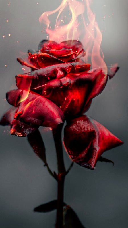 Digital Art image