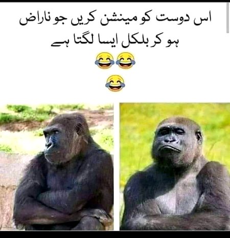 Funny joke