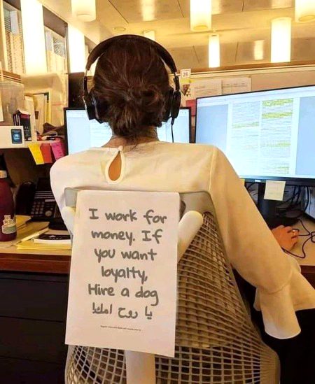 Memes & Satire image