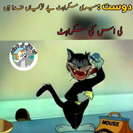 Memes & Satire image