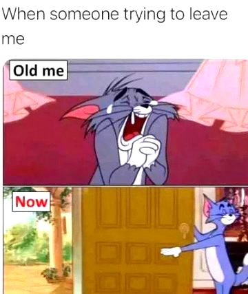Memes & Satire image