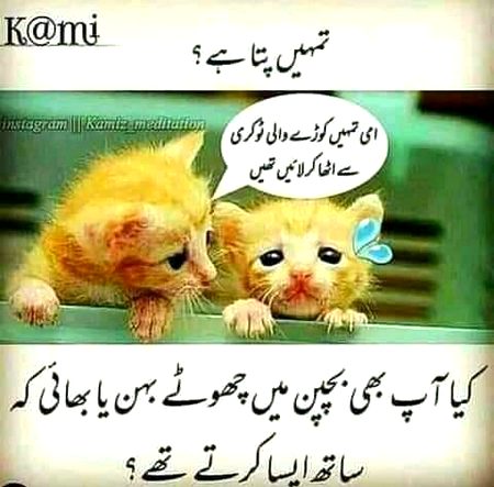 Memes & Satire image