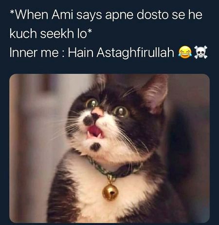 Memes & Satire image