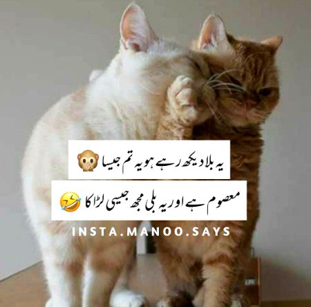 Jokes image