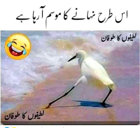 Memes & Satire image
