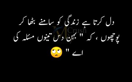 Memes & Satire image