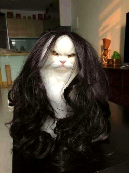 Beautiful Nature image