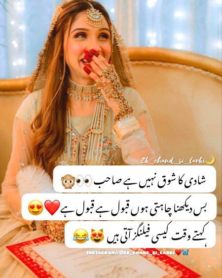 Memes & Satire image