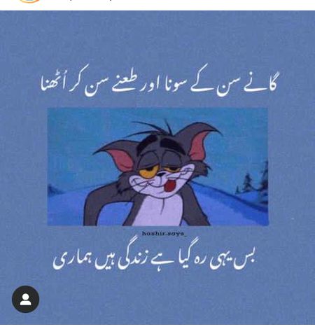 Memes & Satire image