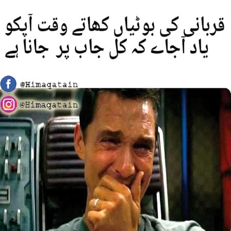 Memes & Satire image