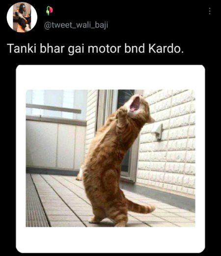 Memes & Satire image