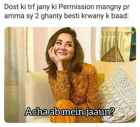 Memes & Satire image