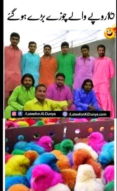 Memes & Satire image