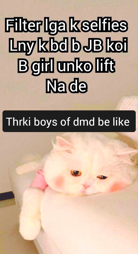 Damadam Roasting image