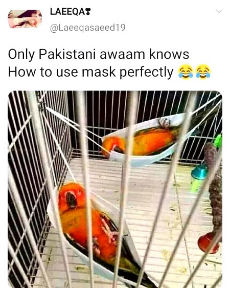 Memes & Satire image
