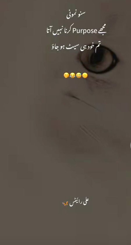 Memes & Satire image