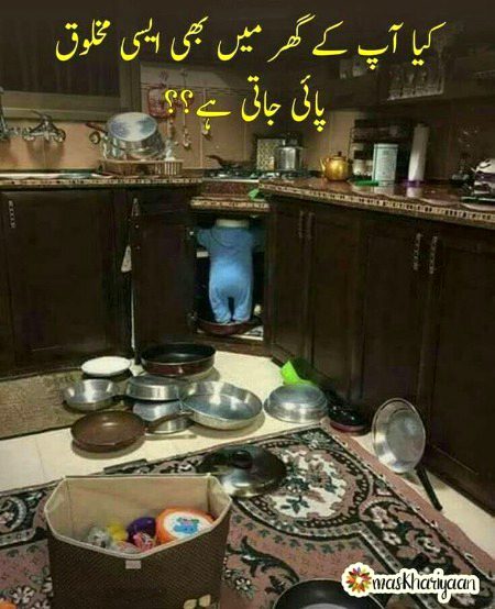 Memes & Satire image