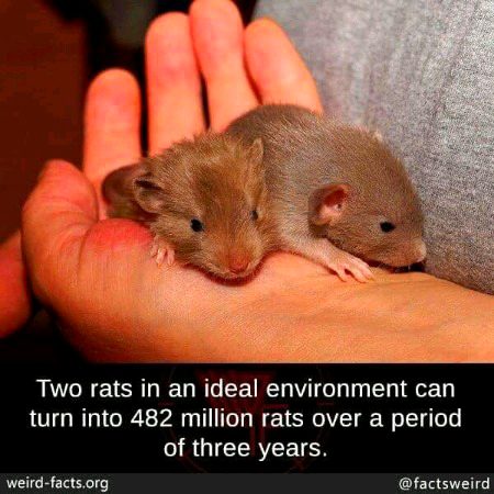 Interesting Posts image